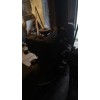 转让柴油发电机组25千瓦时