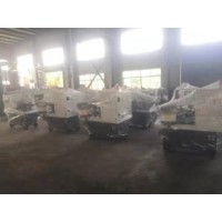 出售闲置剥球机30台 铰孔机15台 机床20台