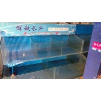 渔缸带恒温制冷设备