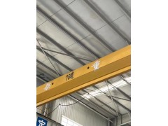半龙门行车10吨一台16吨2台20吨一台图5