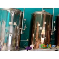 出售三个600升发酵罐 两个200升售酒罐 麦芽粉碎机等整套精酿啤酒设备