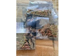 出售4015烂牙咪图2