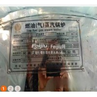 处理燃油锅炉