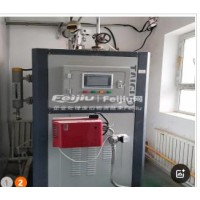 出售燃气蒸汽发生器200L