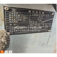 处理蒸汽发生器
