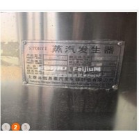 处理蒸汽发生器