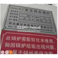 处理锅炉 燃油锅炉