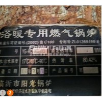 处理天然气锅炉