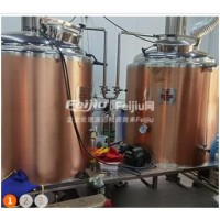 处理600升精酿啤酒生产设备一套一拖8