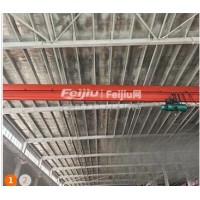 处理国标单梁起重机2台