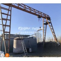 处理跨度12米 高9米龙门吊