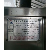 安徽贵宏节能锅炉，型号RQZQ-SH07-1000，蒸汽发生器
