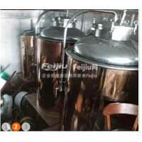 处理精酿啤酒设备