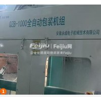 处理QZB-1000全自动包装机组