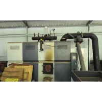 泰亿WHGZ-0.7生物质蒸汽发生器