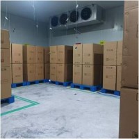 出售150平方冷库及冷风机制冷制热设备含备用柴油发电机