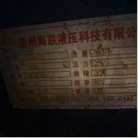 出售盛红XMZ250/1250隔膜压滤机 2024年出厂